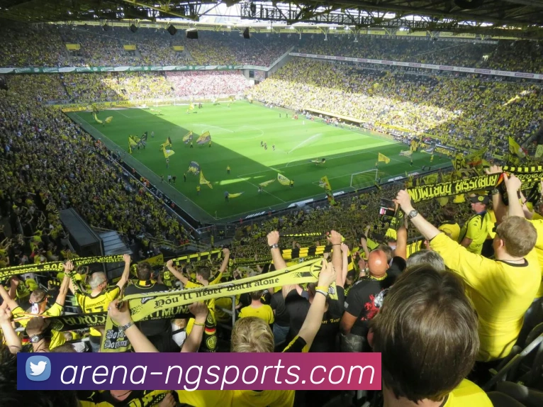 球赛投注服务体系